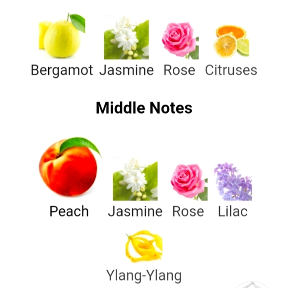 Guerlain Mitsuko, France~5ml Fits in🛍️ for Romantic Night, & Carry On ✈️ 🛫 🆕 - Picture 6 of 12